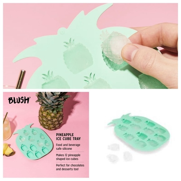 Blush Other - Blush Pineapple Shaped Ice Mold BRAND NEW NWT